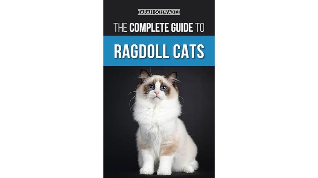 ragdoll cat care essentials
