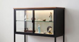 top modern curio cabinet options