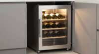 top small wine fridges