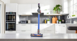 Dyson Brush Heads: Compatibility & Buying Guide