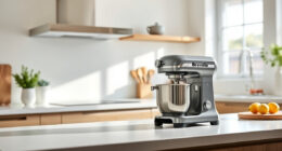 Breville Espresso Machine Grinder Clog: Causes & Fixes