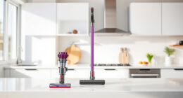 Dyson Cordless Vacuum Maintenance: Complete How-To & Troubleshooting Guide