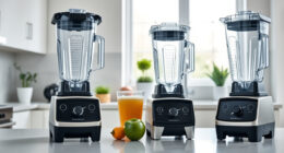 Vitamix 5200 vs Vitamix E310 Explorian: Full Comparison
