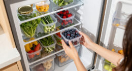 15 Best Refrigerator Storage Organizers for a Neater Fridge in 2026