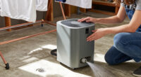 12 Best Whole-Home Dehumidifiers for 2027