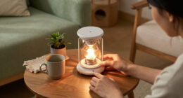 Product Safety Report: Candle Warmer Lamp, TL-167 (2610-0093)